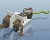 Spark Analysis Extension PTC